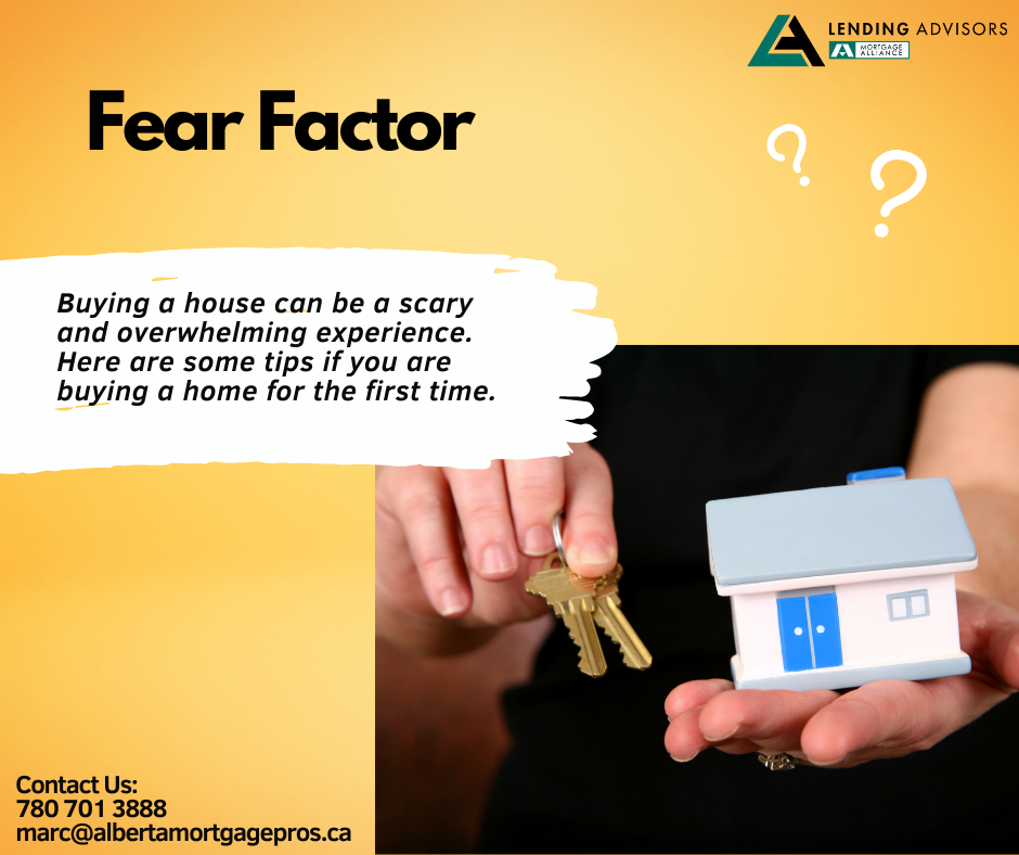 Fear Factor